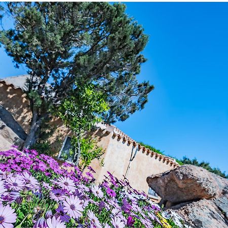 Sardinia Family Villas - Villa Nina With Private Pool Abbiadori Ngoại thất bức ảnh